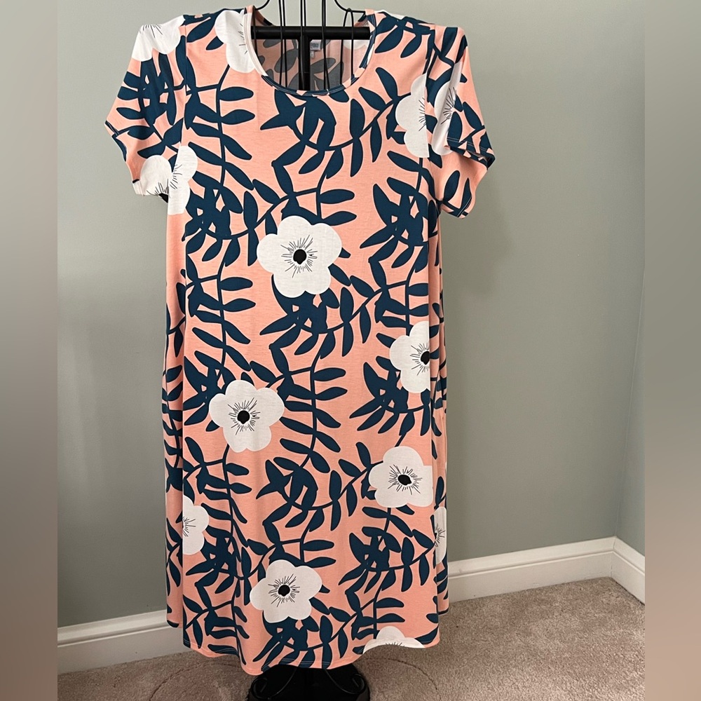 LuLaRoe Casual Pink and Blue dress
